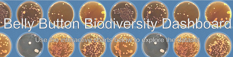 belly button diversity dashboard graphic